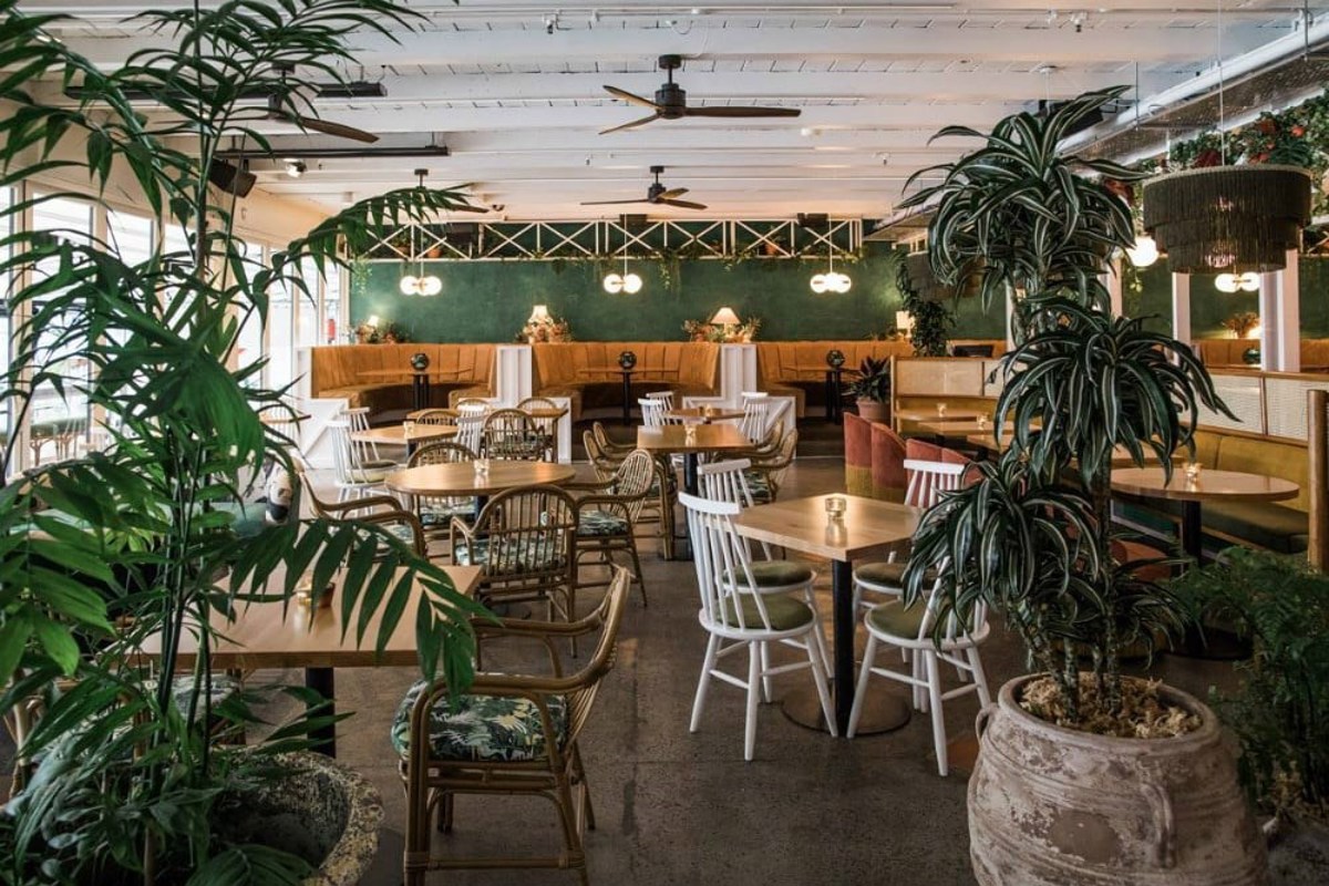 81Ac118f0129e71a05d01e75e03bb8a2e7eee195